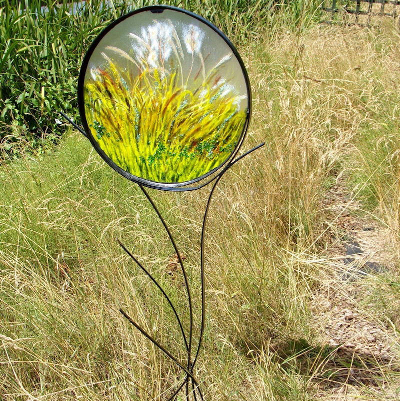 Grasses on Manton Flood Plain